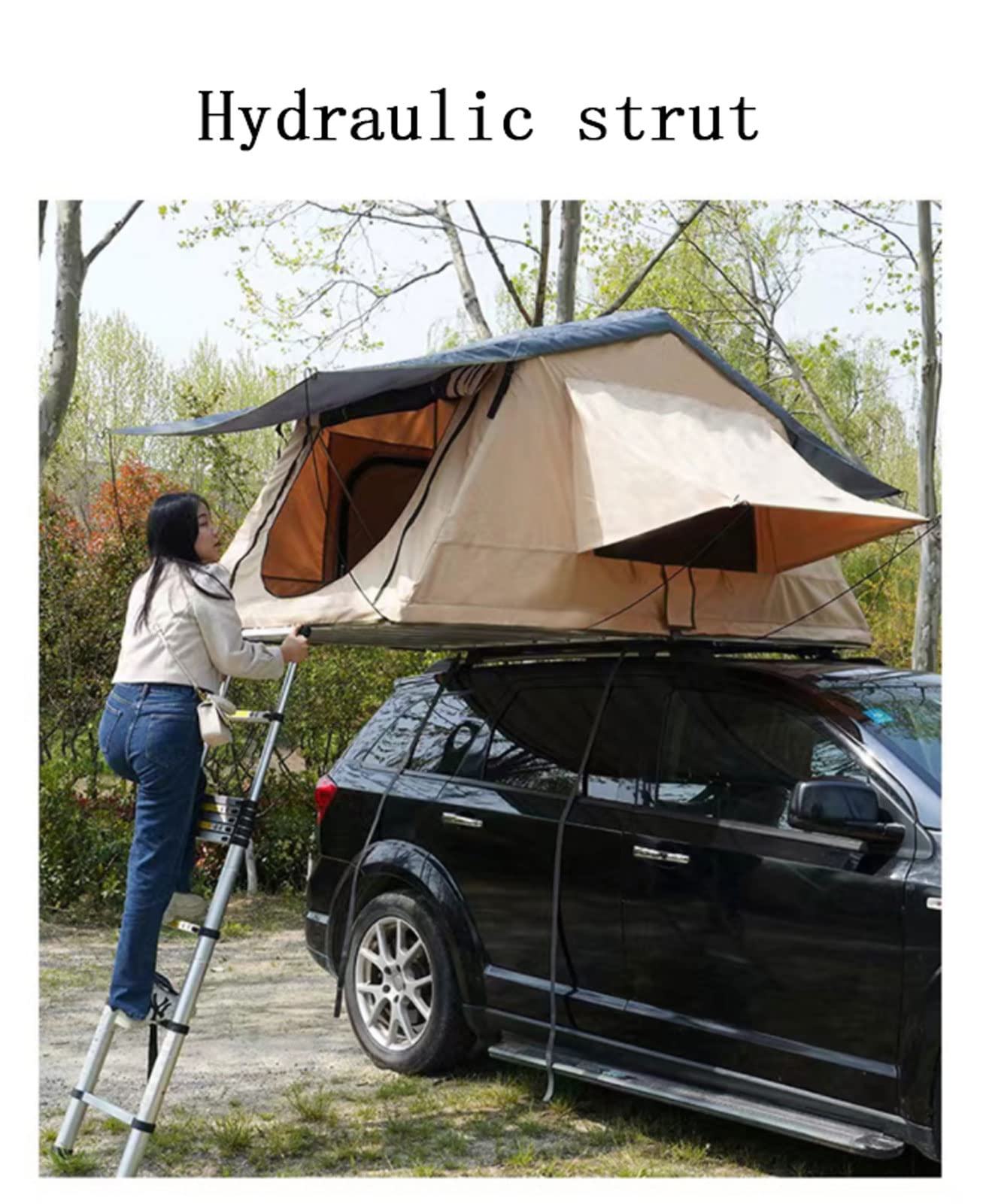 Amazon.co.jp: ルーフテント、アウトドアキャンプクイックオープニング